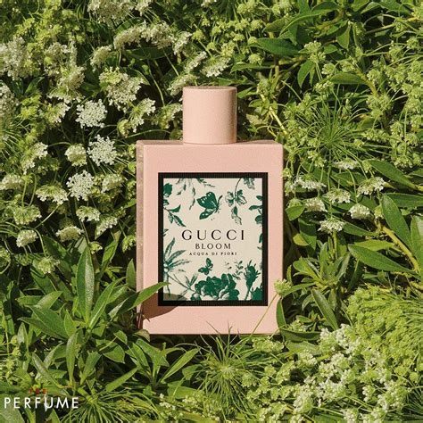 nước hoa gucci bloom acqua di fiori 100ml